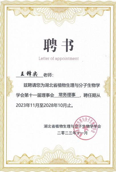 伟德体育官网